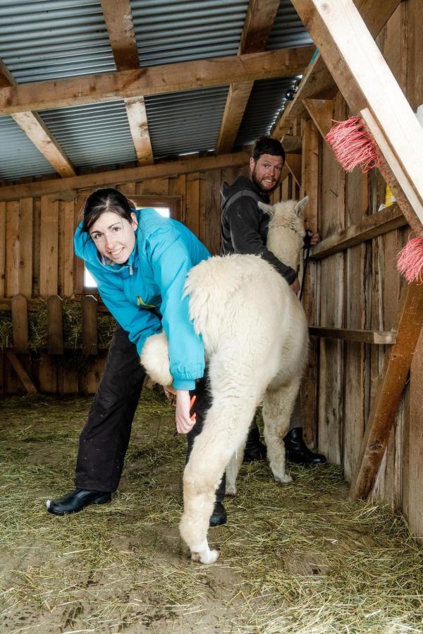 Bild 1 von 12: Im Bild: Kitzbühel: Andrea Möllberger.