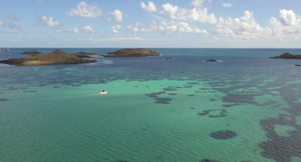 Bild 1 von 4: Ein Hauch von Südsee - die Isles of Scilly.