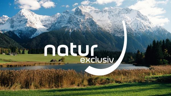 Bild 1 von 1: Key Visual/Cover Sendereihenbild mit Typo zu \