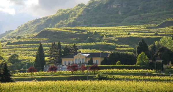 Bild 1 von 5: Weingut Sepp Moser, Apetlon