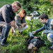 Bild 17