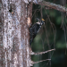Abenteuer Wildnis