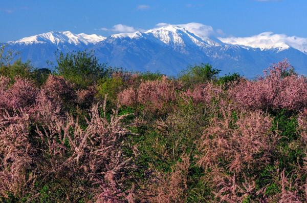 Bild 1 von 3: Die verborgene Seite Griechenlands ist rau und geprägt von einer wilden Berglandschaft.