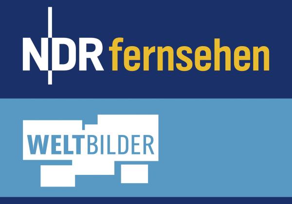 Bild 1 von 1: Logo