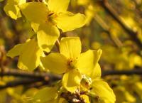 Wunderwelt Garten: Paradies für Mensch und Tier