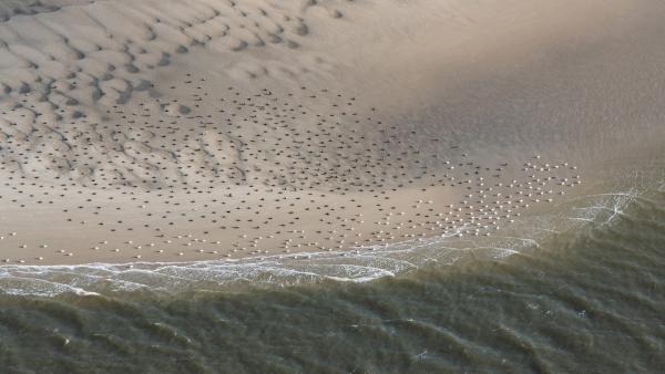 Bild 1 von 6: .