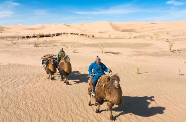 Bild 1 von 5: Nomadische Kamelzüchter in der Wüste Gobi müssen ihre Routen an die Folgen des Klimawandels anpassen und bangen jeden Tag um den Erhalt ihrer Kultur.