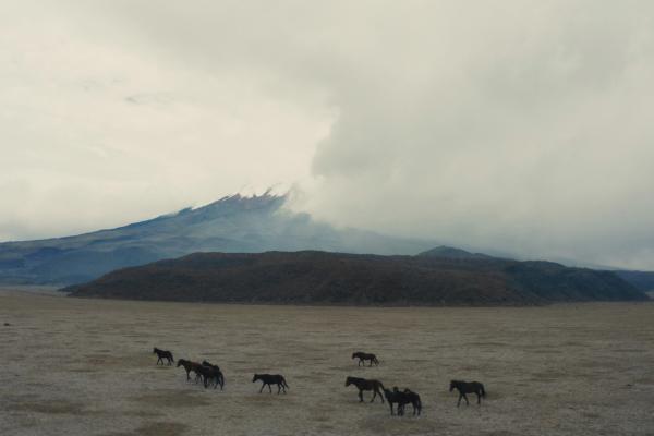 Bild 1 von 6: Im gleichnamigen Nationalpark Ecuadors liegt der Eisvulkan Cotopaxi, einer der höchstgelegenen aktiven Vulkane der Erde.