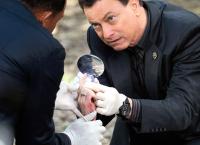 CSI: New York