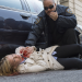 Law & Order: Special Victims Unit