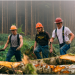 Ax Men - Die Holzfäller
