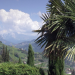 Sonniges Südtirol - Wo der Süden beginnt