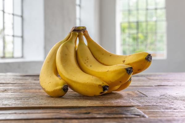 Bild 1 von 6: Costa Rica. Das kleine Land zählt zu den wichtigsten Exporteuren von Bananen für den europäischen Markt - und gehört regelmäßig zu den Ländern mit dem höchsten Pestizideinsatz pro Hektar.