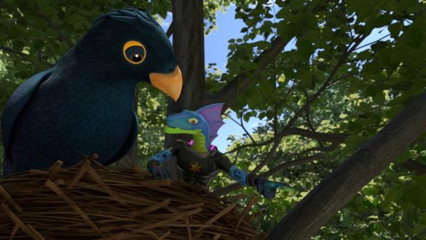 Bild 1 von 2: Ein Vogel hat es auf Galileo abgesehen.