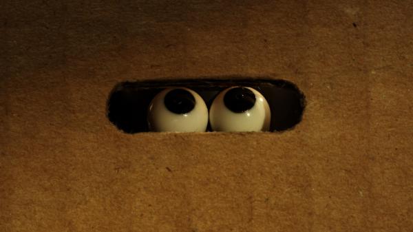 Bild 1 von 5: Under cover - Shaun hat einen kniffligen Auftrag.