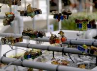 Asiens Ozeane im Wandel