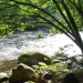 Abenteuer Wildnis