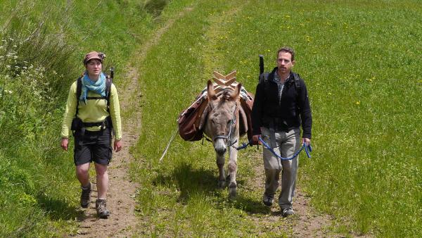 Bild 1 von 6: .