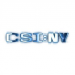 CSI: NY