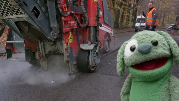 Bild 1 von 2: Knolle erfährt, wie der Asphalt auf der Straße erneuert wird.