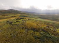 Wildes Großbritannien