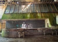 Epic Exploring: Going Local