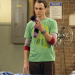 The Big Bang Theory