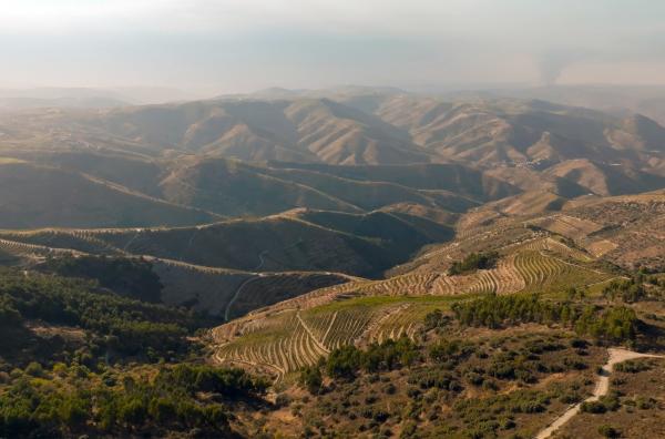 Bild 1 von 3: Die steilen Hänge des Douro-Tals, das als UNESCO-Weltkulturerbe anerkannt ist, sind terrassenförmig angelegt und wurden schon von den Römern für den Weinbau genutzt.
