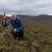 Die Aufforstung der Highlands