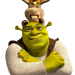 Bild 23