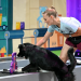 Bild 15