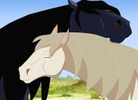 Lenas Ranch