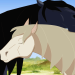 Lenas Ranch