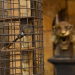 Fort Boyard