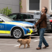 Bild 18