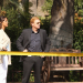 CSI: Miami