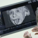 Das Einstein-Projekt