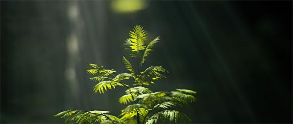 Bild 1 von 1: .