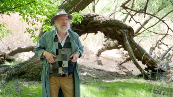 Bild 1 von 4: Roland Neuwirth von Extremschrammeln sucht im Park vergeblich nach der großen Freiheit und erklärt, wie man eine \