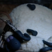 Shaun das Schaf