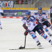 Eishockey Live - Champions Hockey League