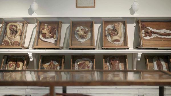 Bild 1 von 8: Im Bild: Schaukasten mit Ausstellungsstück im Josephinum.