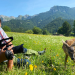 Bild 14