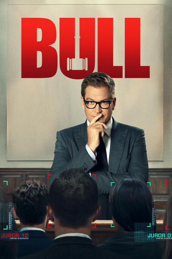 Bild 1 von 3: (5. Staffel) - Bull - Artwork