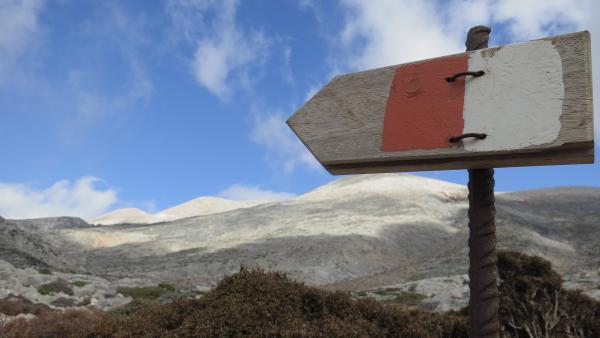 Bild 1 von 6: .