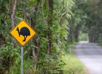 Queensland - Australiens Sonnenstaat
