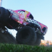 Crazy Wheels - Abgefahren und durchgedreht