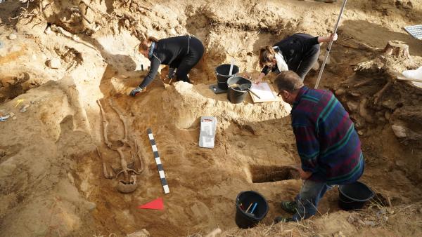 Bild 1 von 8: Grabung in Bad Belzig: Auf der ehemaligen Richtstätte in Bad Belzig gehen Archäologen auf Spurensuche. Viele Mythen ranken sich bis heute um ehemalige Henkersplätze und Galgenhügel. Richtplatzarchäologen versuchen Fakten von Fiktion zu trennen. Mit detektivischem Spürsinn lassen die Forscher Schicksale von Verurteilten auferstehen, die längst begraben schienen.