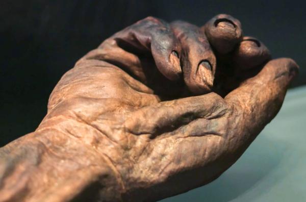 Bild 1 von 4: Diese Moorleiche war ein keltischer König und wurde vor etwa 2.000 Jahren den Göttern geopfert.