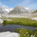 Unsere wilde Schweiz
